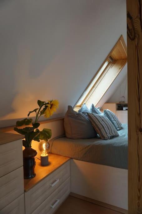 Apartment Mit Ausblick Im Dresdner Suedwesten 드레스덴 외부 사진